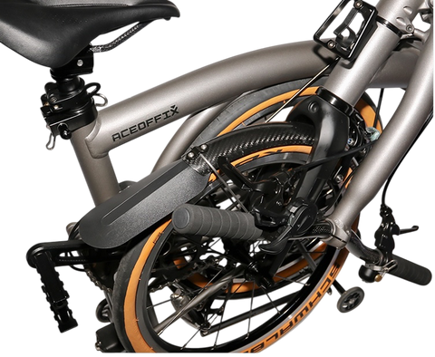 ACE Carbon Mudguard + Leather Flap + Titanium Stays Set for T Line